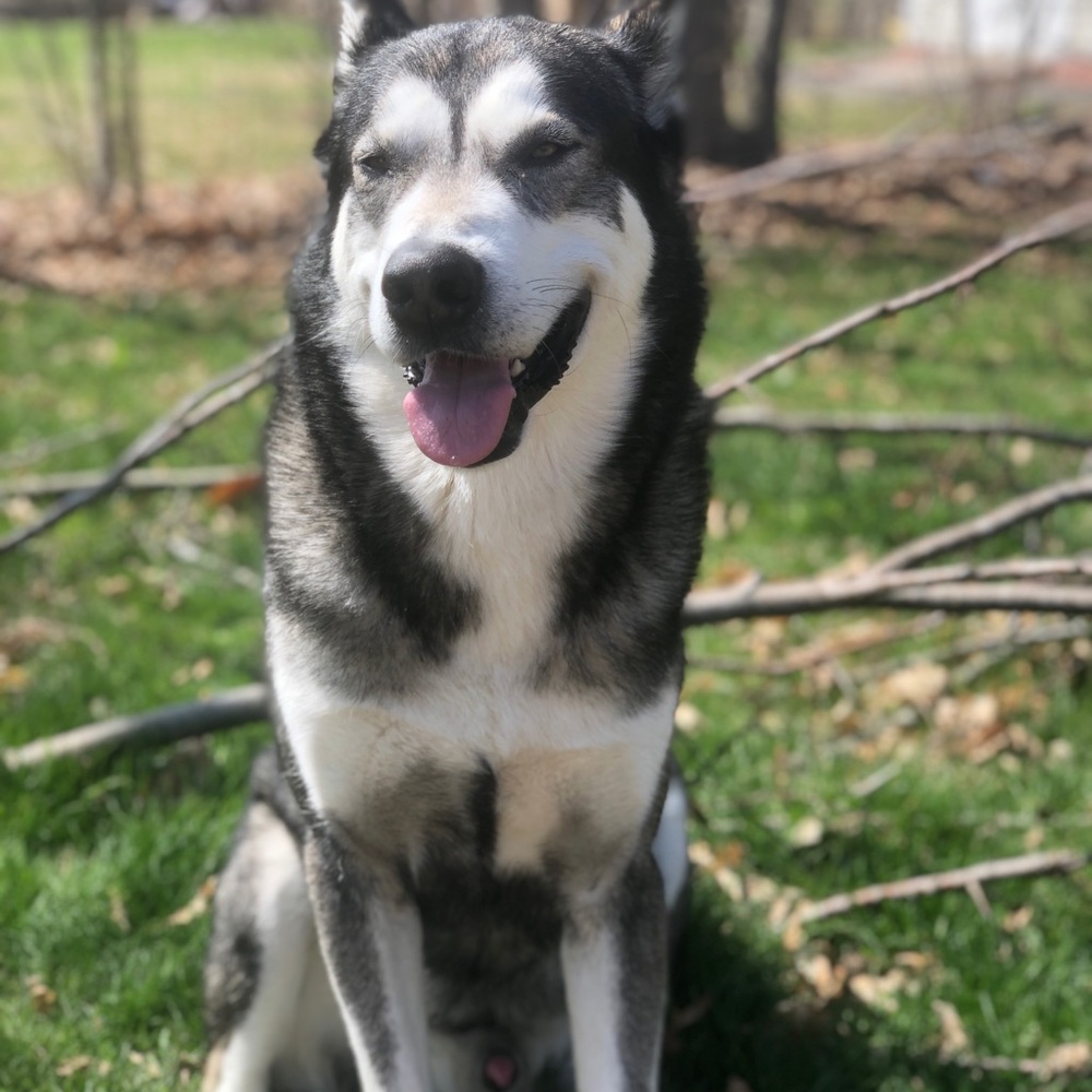 Meet your Posher, Gianna